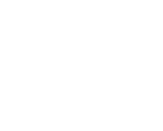 사다리 AX